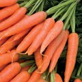 Zanahorias